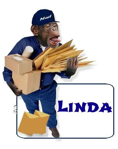 LindamapMailDelivery-vi.jpg