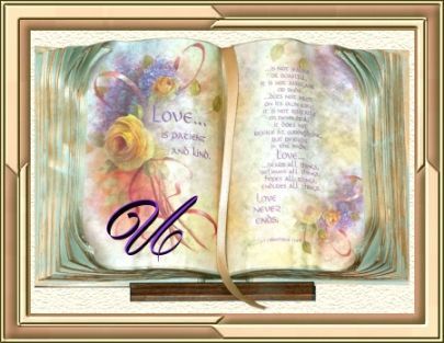 LoveBookAlphaU-vi.jpg