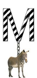 M-Zebra-Charm_ccnan.jpg