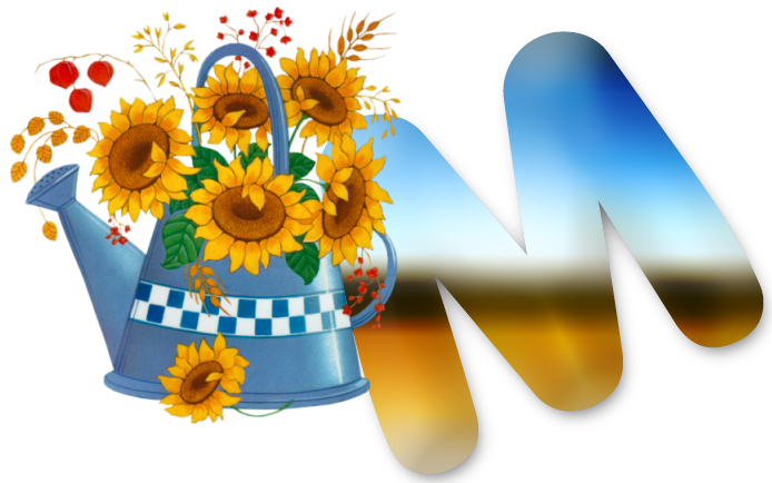 M1-lg.png