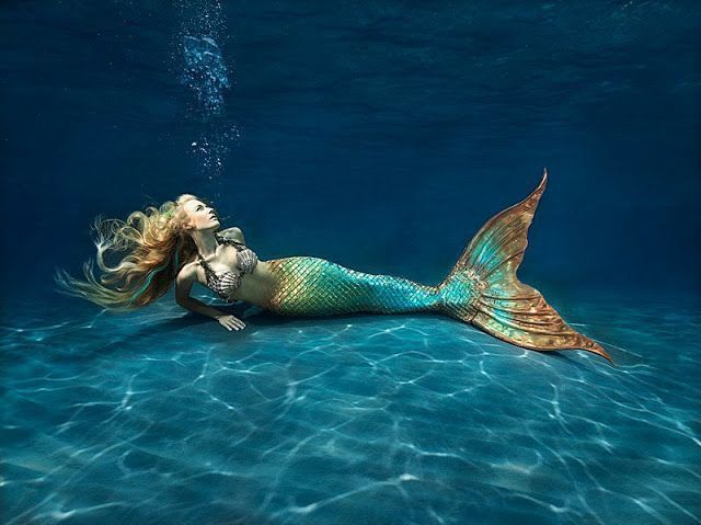 Mermaid-mermaids-31406392-800-599.jpg