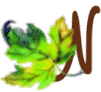 N-LEAF.gif