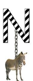 N-Zebra-Charm_ccnan.jpg