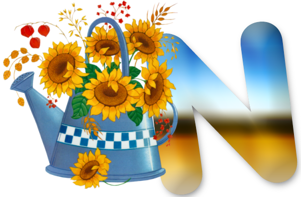N1-lg.png