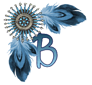 NA-Corner-Blue-B.gif