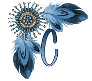 NA-Corner-Blue-C.gif