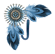 NA-Corner-Blue-J.gif