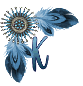 NA-Corner-Blue-K.gif