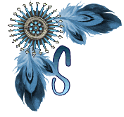 NA-Corner-Blue-S.gif