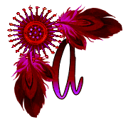 NA-Corner-Fuschia-A.gif