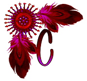 NA-Corner-Fuschia-C.gif