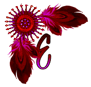 NA-Corner-Fuschia-E.gif