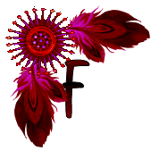 NA-Corner-Fuschia-F.gif