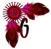NA-Corner-Fuschia-G.gif