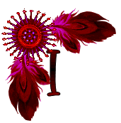 NA-Corner-Fuschia-I.gif