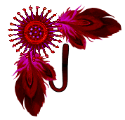 NA-Corner-Fuschia-J.gif