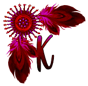 NA-Corner-Fuschia-K.gif