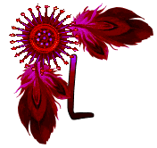 NA-Corner-Fuschia-L.gif