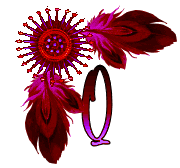 NA-Corner-Fuschia-Q.gif