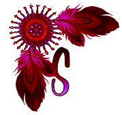 NA-Corner-Fuschia-S.gif