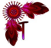 NA-Corner-Fuschia-T.gif