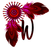 NA-Corner-Fuschia-W.gif