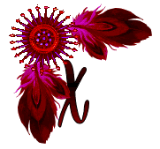 NA-Corner-Fuschia-X.gif