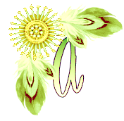 NA-Corner-Yellow-A.png