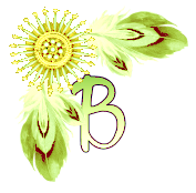 NA-Corner-Yellow-B.png