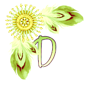 NA-Corner-Yellow-D.png