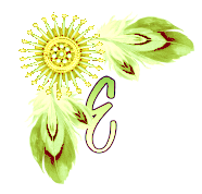 NA-Corner-Yellow-E.png