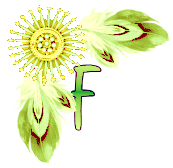 NA-Corner-Yellow-F.png