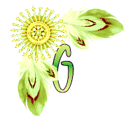 NA-Corner-Yellow-G.png