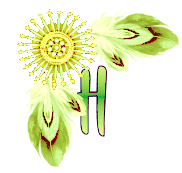 NA-Corner-Yellow-H.png