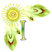 NA-Corner-Yellow-I.png