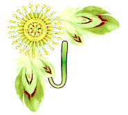 NA-Corner-Yellow-J.png
