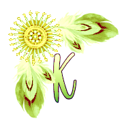 NA-Corner-Yellow-K.png