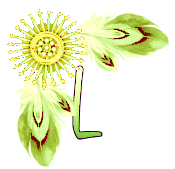 NA-Corner-Yellow-L.png