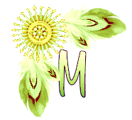 NA-Corner-Yellow-M.png