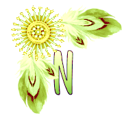 NA-Corner-Yellow-N.png