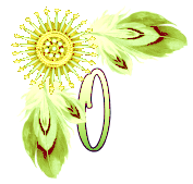 NA-Corner-Yellow-O.png