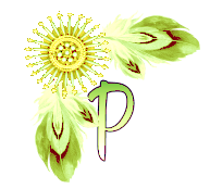 NA-Corner-Yellow-P.png