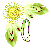 NA-Corner-Yellow-Q.png