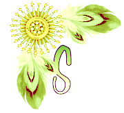 NA-Corner-Yellow-S.png