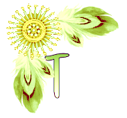 NA-Corner-Yellow-T.png