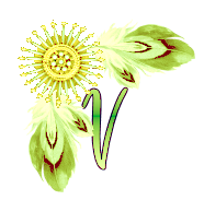 NA-Corner-Yellow-V.png