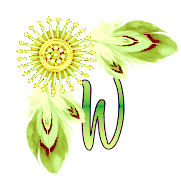 NA-Corner-Yellow-W.png