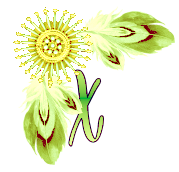 NA-Corner-Yellow-X.png