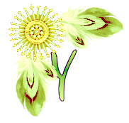 NA-Corner-Yellow-Y.png