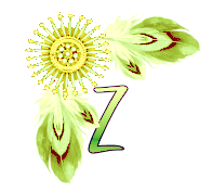 NA-Corner-Yellow-Z.png